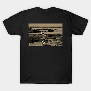 The Boy on the Beach T-Shirt